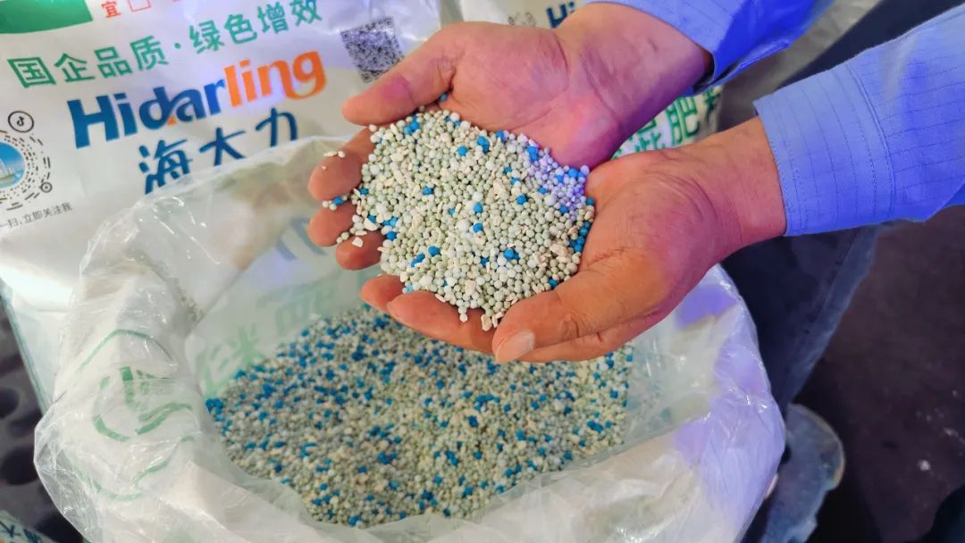 楚星公司“海大力”系列复合肥再添新品(图2)